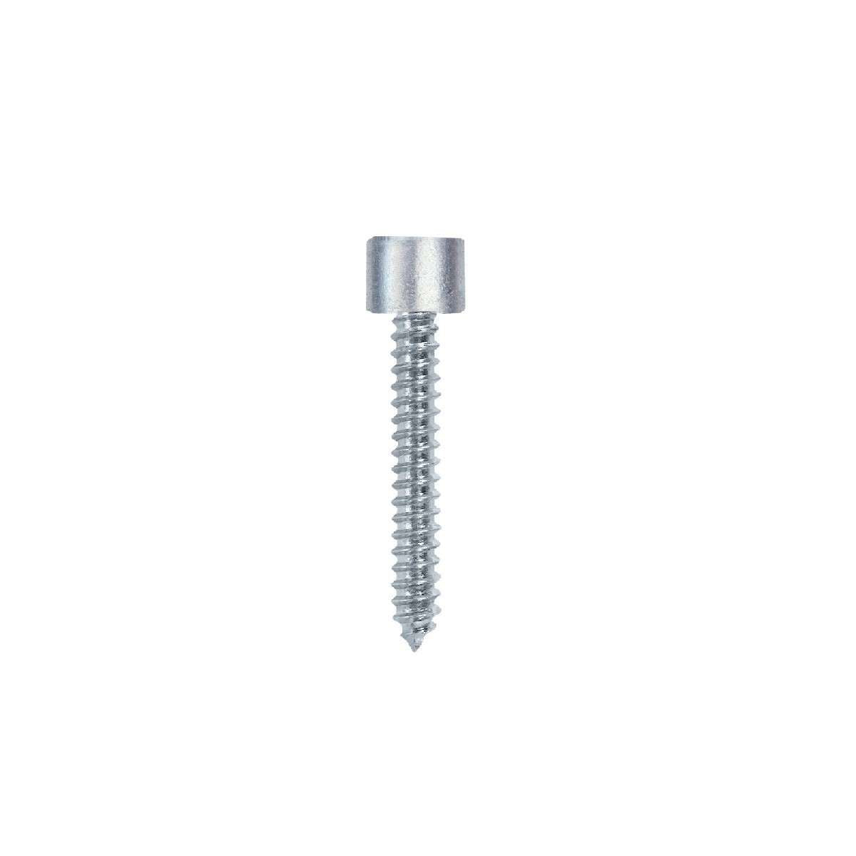 TCEI white zinc-plated self-tapping screw 4.8x25 pack.500pcs. - 19470B48025