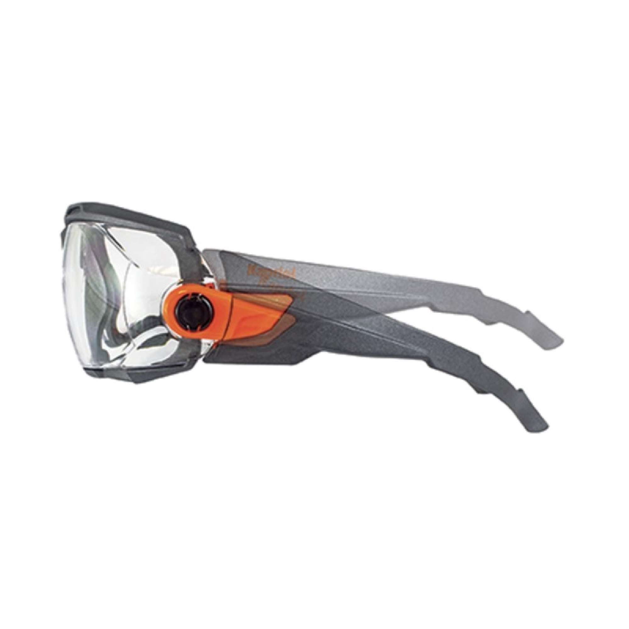 Target safety work glasses - Kapriol 31253