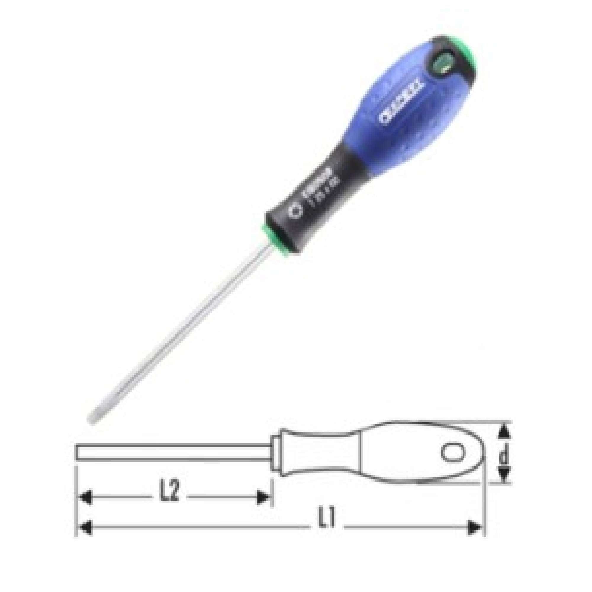 Screwdrivers for screws with Torx imprint DIN5260 - Pastorino 384TX