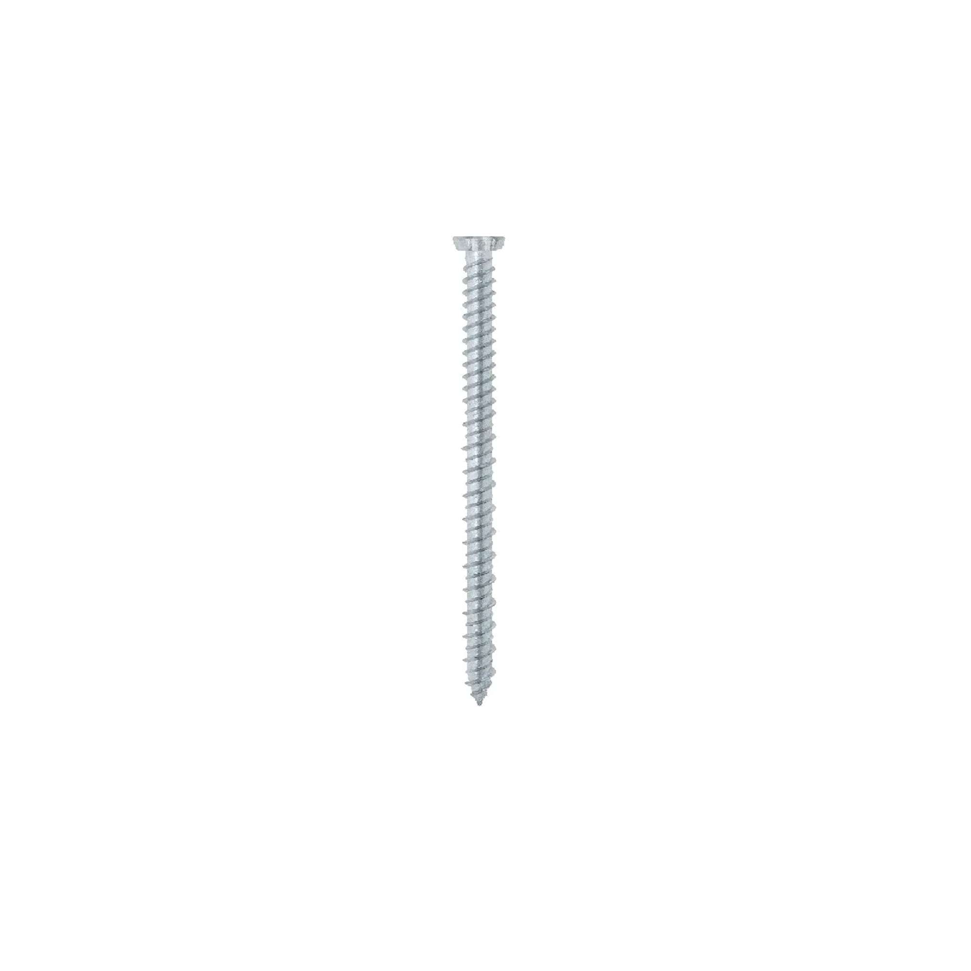 TPS concrete screw T30 zinc plated white - 100pcs. - Friulsider